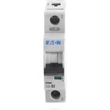Eaton Cls6-B2-De Otomatik Sigorta-6ka-B Eğrisi-1x2