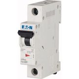 Eaton FAZ-C6/1 Minyatür Devre Kesici