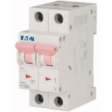 Eaton PL7-C2/2 Minyatür Devre Kesici