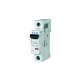 Eaton PLHT-D80 20KA-D Eğrisi 1X80 Otomatik Sigorta