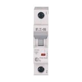 Eaton Y7-194736 1x50 C Tipi 4,5ka Otomatik Sigorta - Elektrik Malzemesi