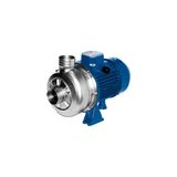 EBARA DWO 200 M 220V 2HP Paslanmaz Çelik Açık Fanlı Santrifüj Pompa