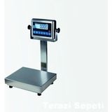 ebaysan Tem Teb 120 kg x 5 gr 28X35 Paslanmaz Terazi