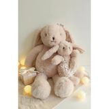 Ebeveyn-Çocuk Tavşan Peluş Oyuncak – Sevgi Dolu Yumuşacık Tasarım Kahverengi 40 Cm