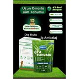 ebitkisel Çok Yıllık Çim Tohumu 1 Kg Uzun Ömürlü 6'lı Karışım Gölge ve Aşırı Güneşli Alan Uygun 4 Mevsim Yeşil