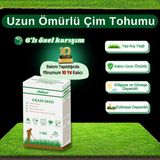 Ebitkisel Çok Yıllık Çim Tohumu 1 kg Uzun Ömürlü 6'lı Karışım Gölge ve Aşırı Güneşli Alan Uygun Yetiştirilmesi Kolay 4 Mevsim Yeşil