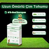 Ebitkisel Çok Yıllık Çim Tohumu 1 Kg Uzun Ömürlü 6'lı Karışım