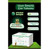 ebitkisel Çok Yıllık Çim Tohumu 10 Kg Uzun Ömürlü 6lı Karışım Gölge ve Aşırı Güneşli Alan Uygun 4 Mevsim Yeşil
