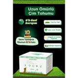 ebitkisel Çok Yıllık Çim Tohumu 20 Kg Uzun Ömürlü 6lı Karışım Gölge ve Aşırı Güneşli Alan Uygun 4 Mevsim Yeşil