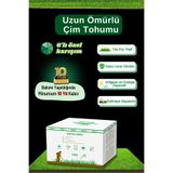 ebitkisel Çok Yıllık Çim Tohumu 5 Kg Uzun Ömürlü 6'lı Karışım Gölge ve Aşırı Güneşli Alan Uygun 4 Mevsim Yeşil