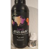 Ebru Ener Anka Vernikli Genel Yüzey Boyası Gök Mavi 1000 Gr. ve Katkı Maddesi 30 Gr.