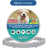 Ebulduk Kedi-Köpek Anti Pire Kene Önleyici Tasma- 38 Cm Pire Önleyici Tasma-Kene Önleyici Tasma