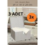 EC Shop Yegge 3 Adet Set Çok Amaç Kutu Hurç,Sert Kapaklı Çamaşır Sepeti,Çok Amaçlı Düzenleyici Organizer 40*30*26 3 x Yegge Çok Amaçlı Kutu