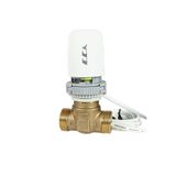Eca E.C.A 1/2'' (DN15) 2 Yollu Motorlu Fan Coil Vana Seti (1/2'' Gövde + Motoru)