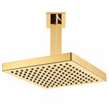 ECA Tiera Tavandan Altın Duş Başlığı 20x20 Cm- 102845032