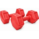 Ecgspor Spor 3 Kg Dambıl Seti Fitness Ve Ağırlık Seti Kırmızı - 6 kg