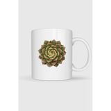Echeveria Etli Bitki Cactaceae Houseleek Tasarımlı Kupa Bardak