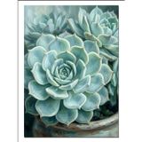 Echeveria Sukulent Mavi Yeşil Yaprak Dekoratif Kanvas - Mdf Ahşap Tablo