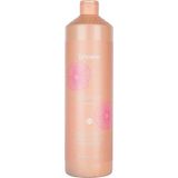 Echosline Discipline Anti-Frizz 1 lt Şampuan