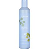 Echosline Vegan Balance Purifying 300 ml Şampuan