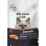 Eco Natura Pet Jelly Somonlu Pouch Kısır 20x85 gr Kedi Maması