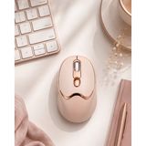 Eco Port Bluetooth ve 2.4g Destekli Sessiz Kablosuz Mouse Şarjlı Tasarım