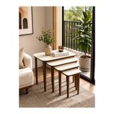 ECOL DESİNGS DURU 4lü Lüx Zigon Sehpa MDF Aytaşı