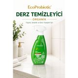 EcoProbiotic Derz Temizleyici Sprey 500 ml | Organik, Fayans Arası Temizleyici