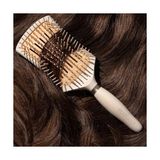 Ecotools Düzeltici Detangler Saç Fırçası, Islak Veya Kuru Saçlar Için Fırça, Ağrısız Dolaşık Açma, Stil ve Pürüzsüz Saçlar, Yenilenebilir Bambu ve Esnek Kıllar, Vegan ve Zulüm Içermez, 1 Adet - Option-1