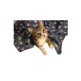 ecottonworks Pati Desenli Kedi Köpek Evcil Hayvan Polar Battaniye Antrasit Gri Renk