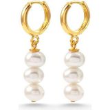 Ecru Atelier Harmonia Gold Inci Kadın Küpe - Altın - Standart