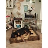 Ed Pet Dizayn Bilbao Xxl Büyük Köpek Yatağı. 70*100 cm Şık Tasarım Rahat Minderi ile Beraber - Koyu Ceviz