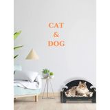 ED PET DİZAYN GLOBAL MARKETİNG Pd Taht Rahat Kedi Köpek Yatağı 30*50 Siyah Yıkanabilir Duck Kumaş Minderi ile Beraber