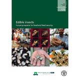 Edible Insects: Future Prospects for Food and Feed Security (Fao Forestry Paper, Band 171)