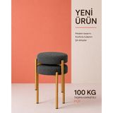Edmonda Ev Aksesuar Cemre 2li Puf Tabure Bench Makyaj Sandalyesi Gold Ayak - Gri