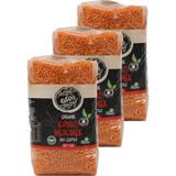 Edos Organik Kırmızı Mercimek 1 kg x 3'lü - 3 kg