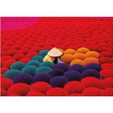 Educa 1000 Parça Vietnam Tütsü Köyü Puzzle/Yapboz - 20282 - Frankincense Village