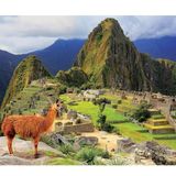 Educa 17999 Antik Machu Pıcchu Peru Şehri 1000 Parça Puzzle