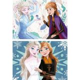 Educa Puzzle Educa 2x20 Parça Disnet Frozen Puzzle - 19736 - 3-5 Yaş Kız Çocuk