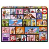 Educa Shared Moments 1000 Parça Puzzle