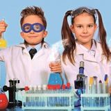 Edulab GÜMÜŞAĞACI DENEY SETİ