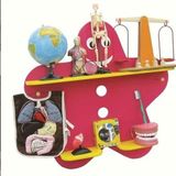 Edutoys Aletler Hariç Fen ve Doğa Köşesi Kitaplığı