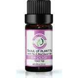 Edy's Organics Itır Çiçeği(Sardunya) Yağı