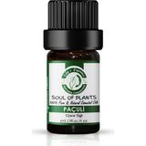 Edy's Organics - Paçuli Uçucu Yağı
