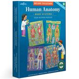 eeBoo: Öğrenmeye Hazır: İnsan Anatomisi 4 Bulmaca - Vücut Sistemleri 4-48 Parça Yapboz Seti, Eğitim Posteri Dahil, 8 Yaş ve Üzeri Çocuklar