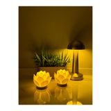 EEM Gece Lambası Lotus Çiçeği