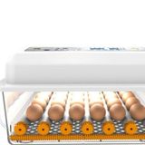 Efe Kuluçka Kaz Kuluçka Makinesi 36 Lık