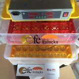 EFE KULUÇKA MAKİNELERİ 92 Kuluçka Makinesi
