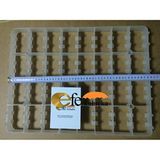 EFE KULUÇKA MAKİNELERİ Kaz Yumurta Viyol