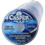 ef&fe Casper 100M 0.20MM Fluorocarbon Hayalet Misina 7.39 kg Çekme Gücü ile Ekonomik Balıkçılık - 0.16